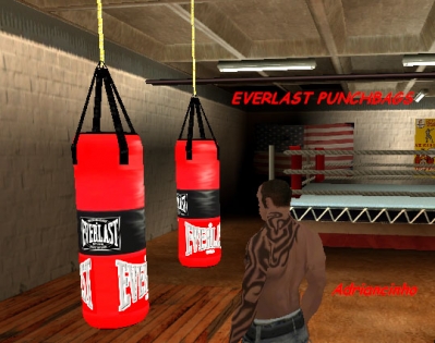 EVERLAST PUNCHBAG